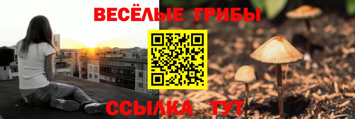 Галлюциногенные грибы ЛСД Нововоронеж